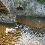 Up to our tummies in clear fresh water