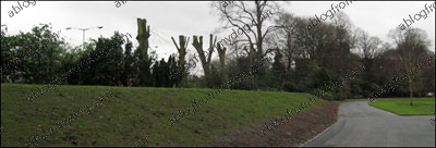 dog_flood_400-wide1 Flood defenses - Earth banking