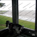I can see for miles ... I can see for miles ...