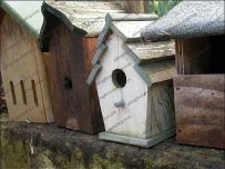 Birdboxes await installation and cleaning