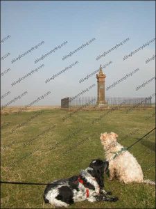 Charlie and I look back at the King Edward monument