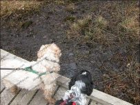 If we jump in both together....