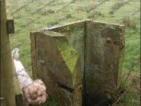 Chalybeate Well