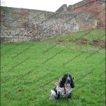 Charlie sits by his stone