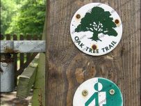 kingmoor_trail_june09 Oak Tree Trail