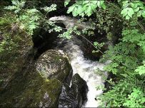 Whelpo Beck, Caldbeck