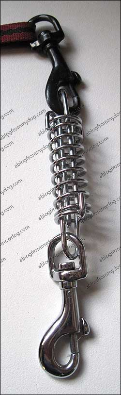 spring_gadget_long Dog Lead Shock Absorber