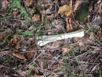 Bones in Ennerdale