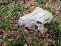 Skull found in Ennerdale