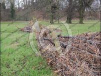 Flood debris in Rickerby Park