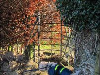 A tight squeeze through the church gate A tight squeeze through the church gate