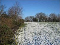 I wish we had a sledge... I wish we had a sledge...