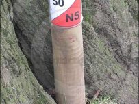 Numbered post in park Numbered post in park