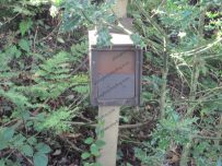 A post box for the woodland folk?