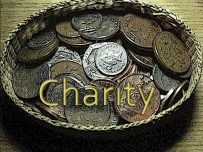 Help an animal charity