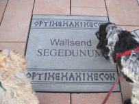 Paving stones with writing on them Paving stones with writing on them