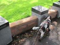 Charlie inspects one of the new art works Charlie inspects one of the new art works