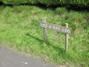 As if we can read!
