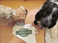 Buster put his head straight into the packet Buster put his head straight into the packet