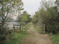 The clockwise path is much wider than the other hillside path The clockwise path is much wider than the other hillside path
