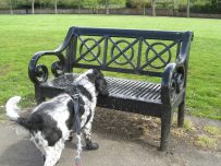 A seat just the right size for Charlie