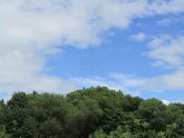 Blue skies appear over Carlisle on Sunday