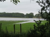 Field by A595 flooded after overnight rain Field by A595 flooded after overnight rain