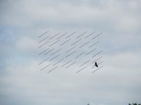 A bird of prey in the sky above Castle Carrock. Is it an osprey? A bird of prey in the sky above Castle Carrock. Is it an osprey?