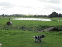 Flooded playing field at Rockcliffe Flooded playing field at Rockcliffe