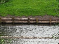 The river bank has been improved with logs