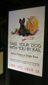 Take your dog with you by rail poster