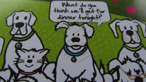 Barking Heads - What is for dinner tonight?