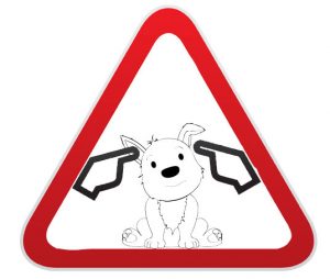 Dogs aware - Loud noise warning. Ablogfrommydog.com