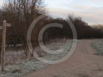 Icy paths and crisp fresh air