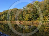 Autumn colours on the banks of the River Eden in Carlisle