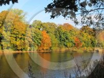 Autumn colours line the river bank in Carlisle