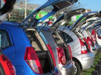Cars open mouthed take in the sunshine
